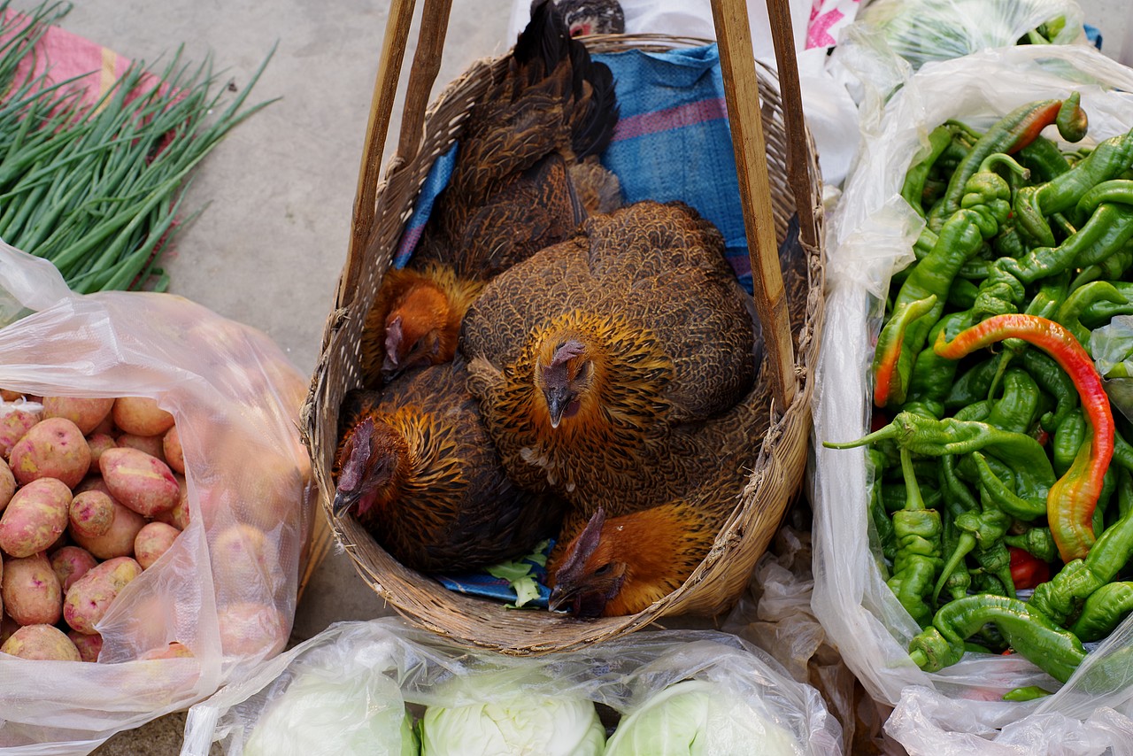 赶云南大集,看稀奇,食爆浆肥肠