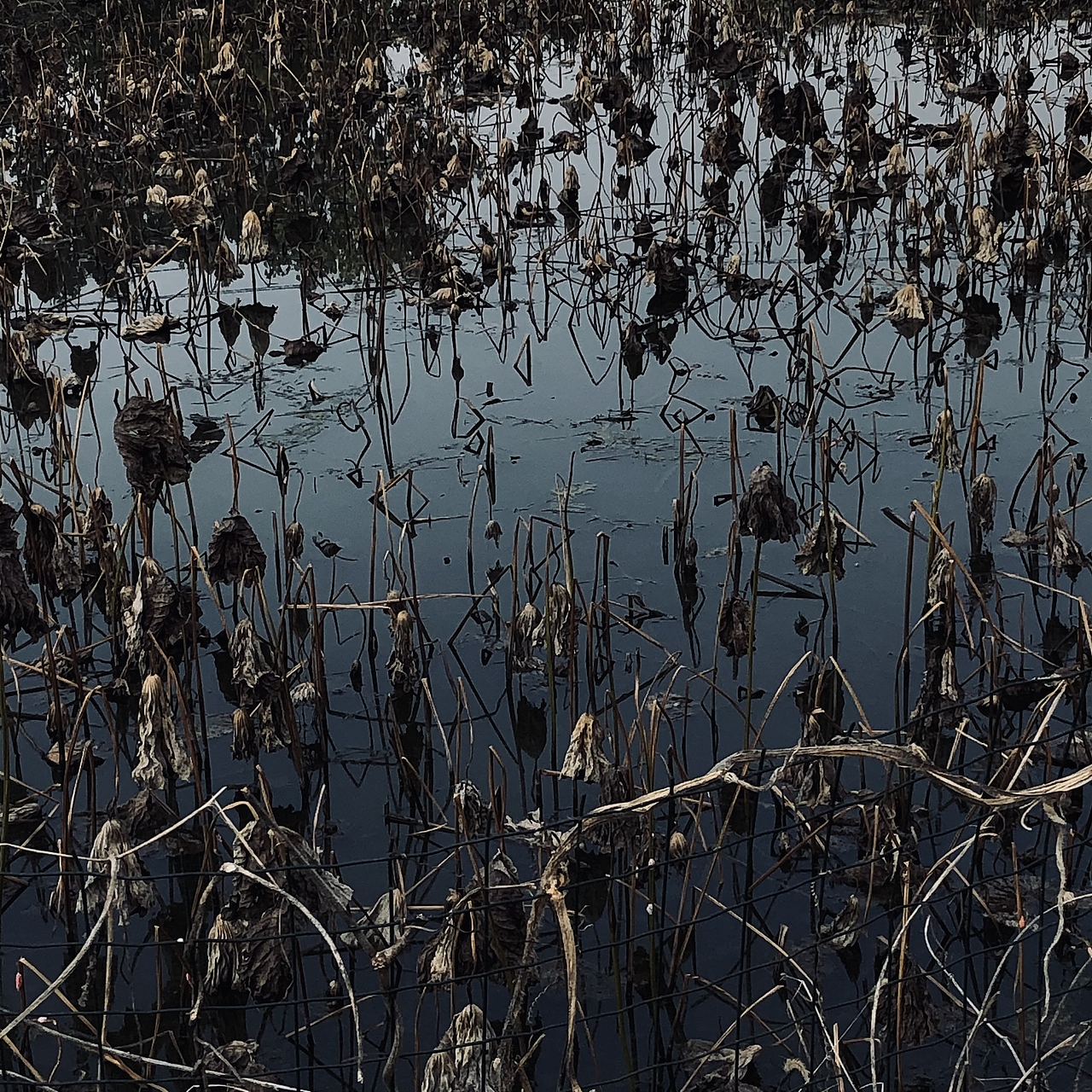 [ Shot on iphone ] 无后期 #1（图ZMzM2NjkyMDY4） - 人文/纪实摄影 - 站酷设计师bowllwod原创素材 - 站酷ZCOOL