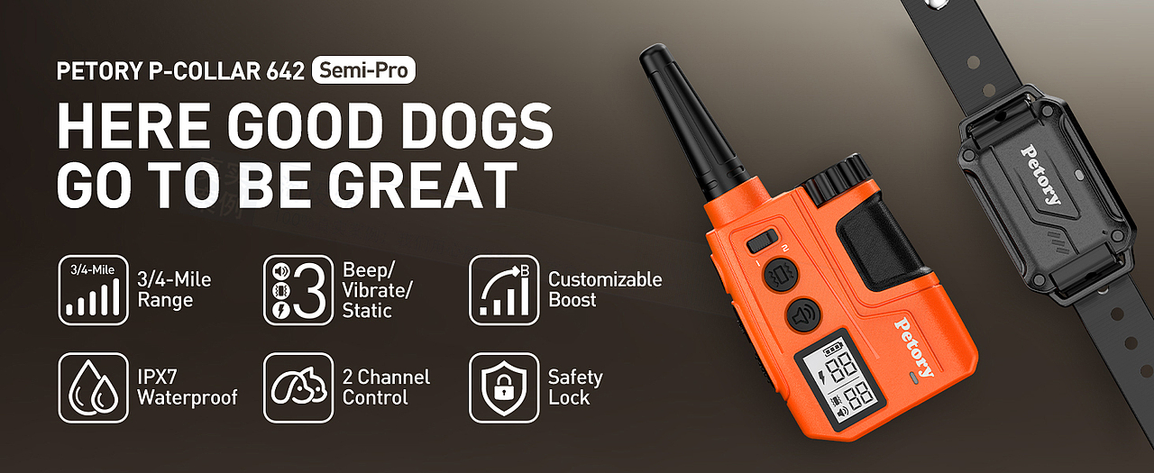 亚马逊产品建模渲染宠物用品训狗器图片排版主图A+设计