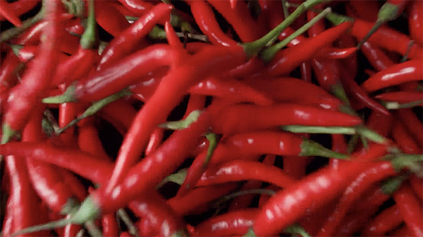 预制菜｜酸菜鱼视频创意合集｜御鲜锋（图ZMzY2MDc5ODQ4） - 短片 - 站酷设计师火焰山设计实验室原创素材 - 站酷ZCOOL