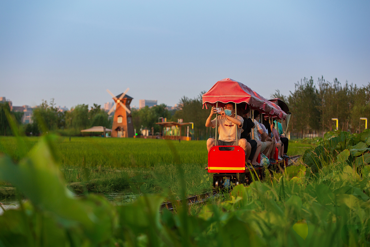西安市长安公园稻香园 | 景观摄影