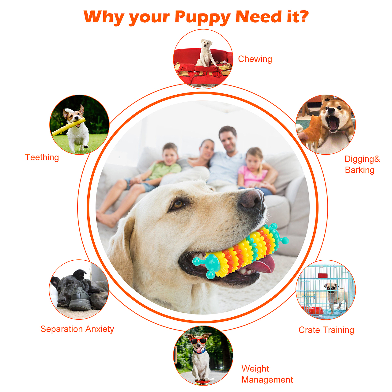 亚马逊设计案例分享—宠物玩具