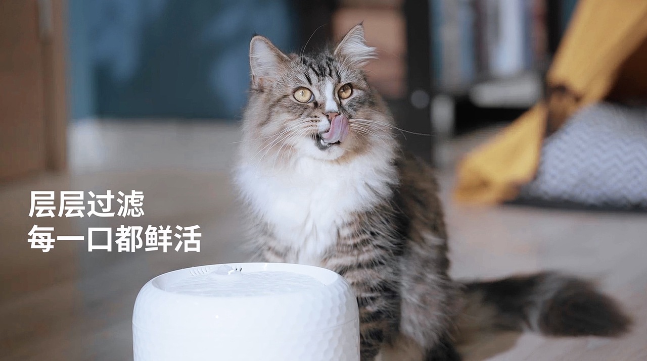 宠上宠智能饮水器 PETSUPER