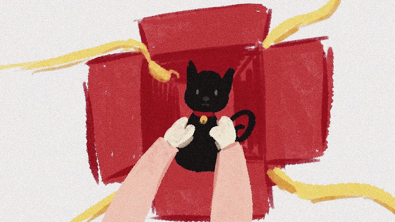 《御猫岛》——绘本（图ZMzU5ODAwMjY0） - 绘本 - 站酷设计师盐巴巴巴原创素材 - 站酷ZCOOL