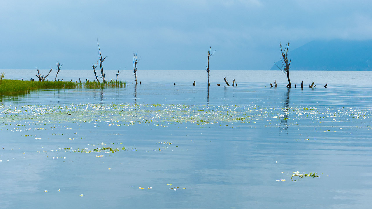 云南之旅-洱海（图ZMzE1OTQyNTg0） - 风光摄影 - 站酷设计师孤独鸿原创素材 - 站酷ZCOOL