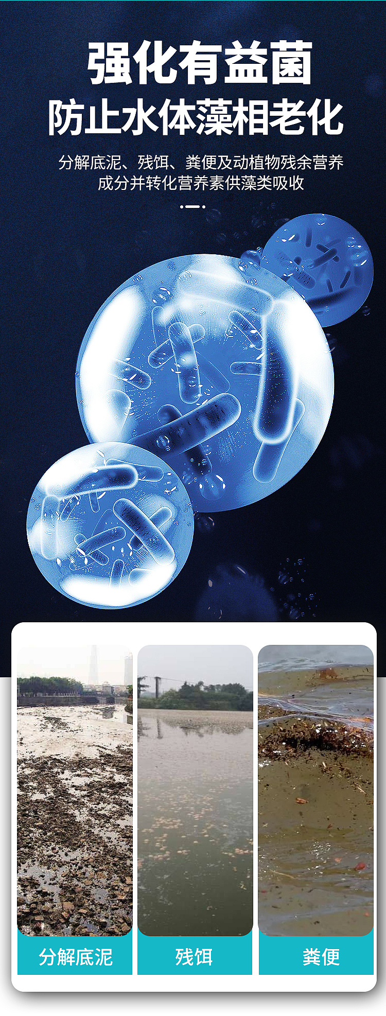 详情页 电商设计  畜禽水产养殖 饲料添加剂