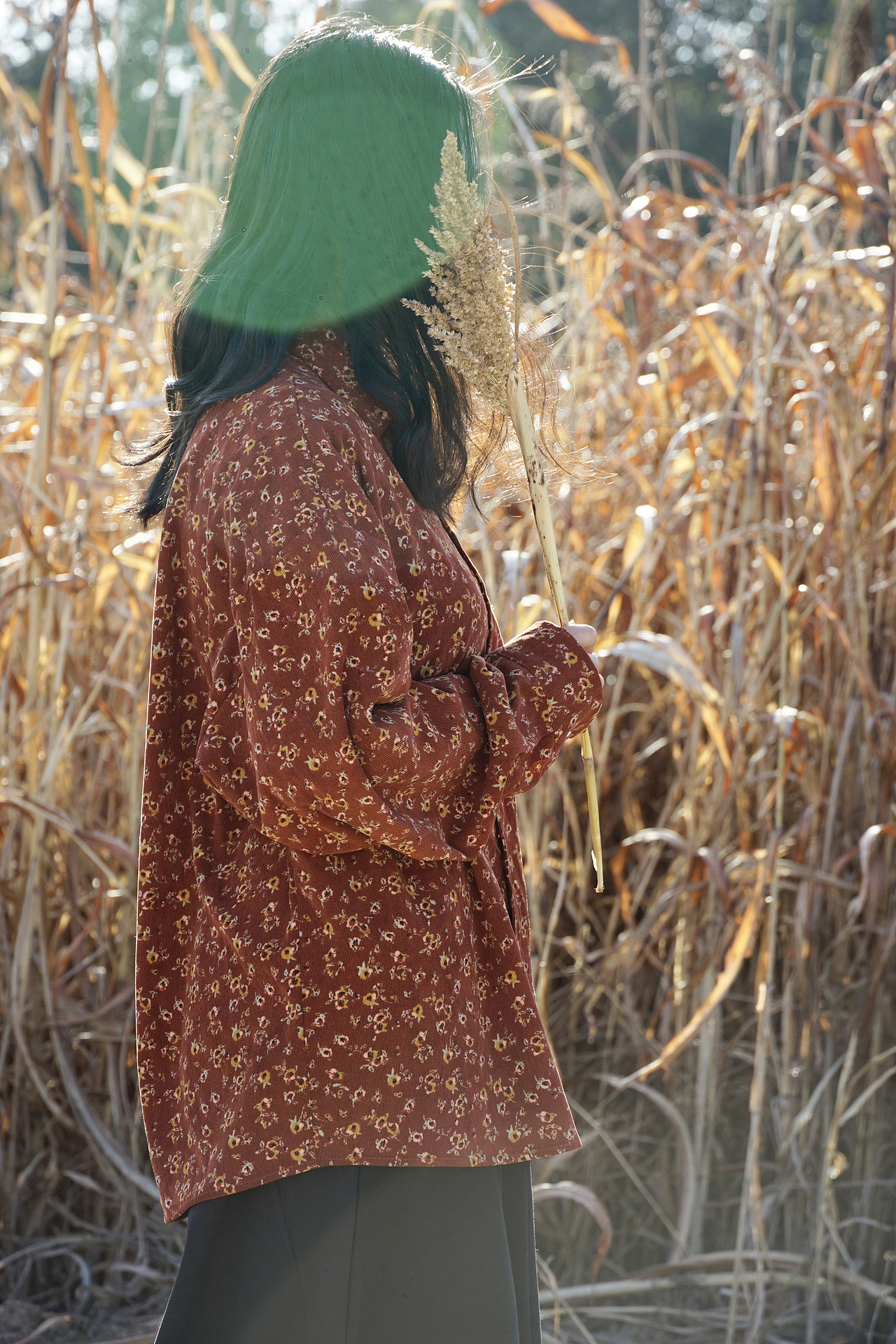 与 光 同 尘（图ZMzYwNjg2NTk2） - 风光摄影 - 站酷设计师程小灰啊原创素材 - 站酷ZCOOL