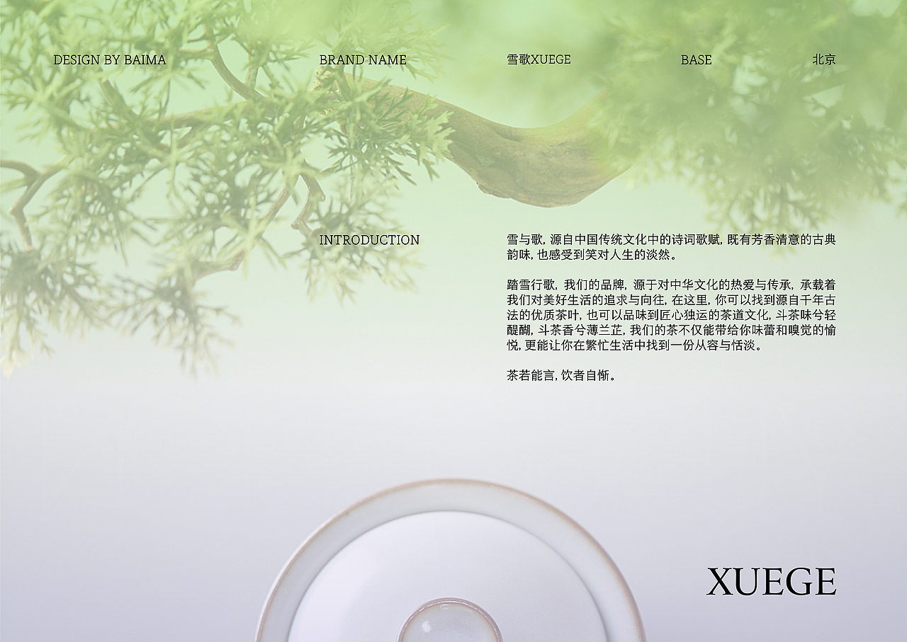 XUEGE雪歌|新中式美学茶品牌提案
