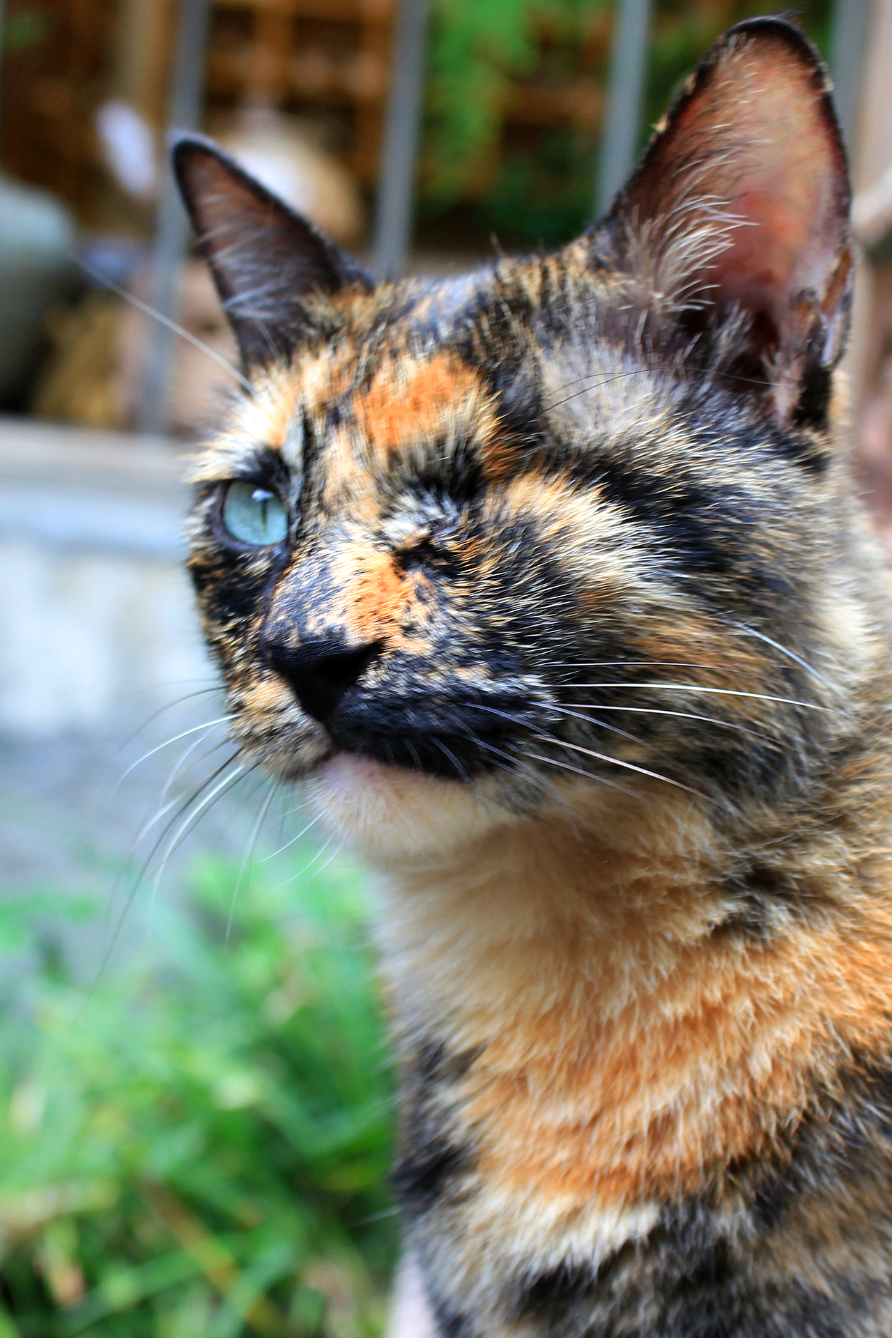 拍摄——春日踏青（图ZMzY4MTEwMjQ0） - 风光摄影 - 站酷设计师三鱼斤原创素材 - 站酷ZCOOL