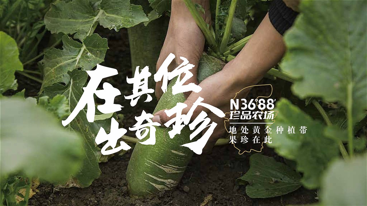农场品牌设计案例|3688珍品农场 在其位·出奇珍（图ZMzQxMDE3MTQ0） - 品牌 - 站酷设计师象造文创原创素材 - 站酷ZCOOL