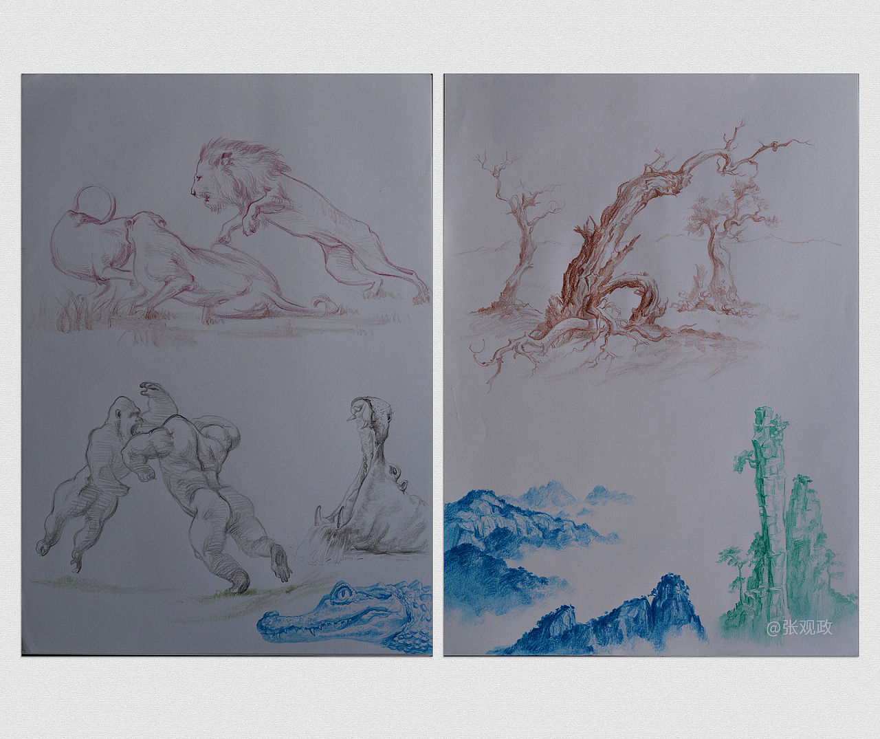 我的速写本 手稿