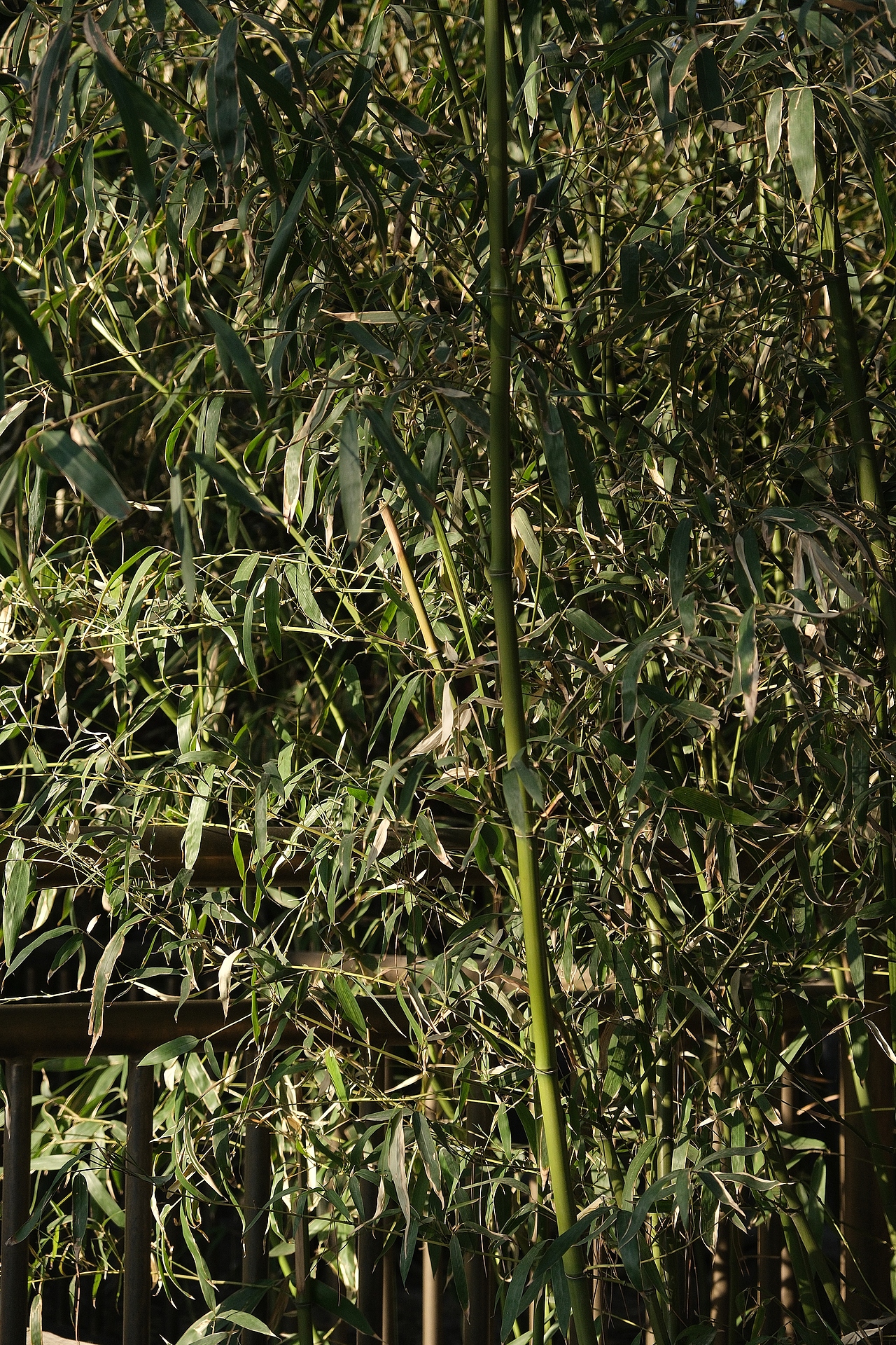 北海公园  中山公园