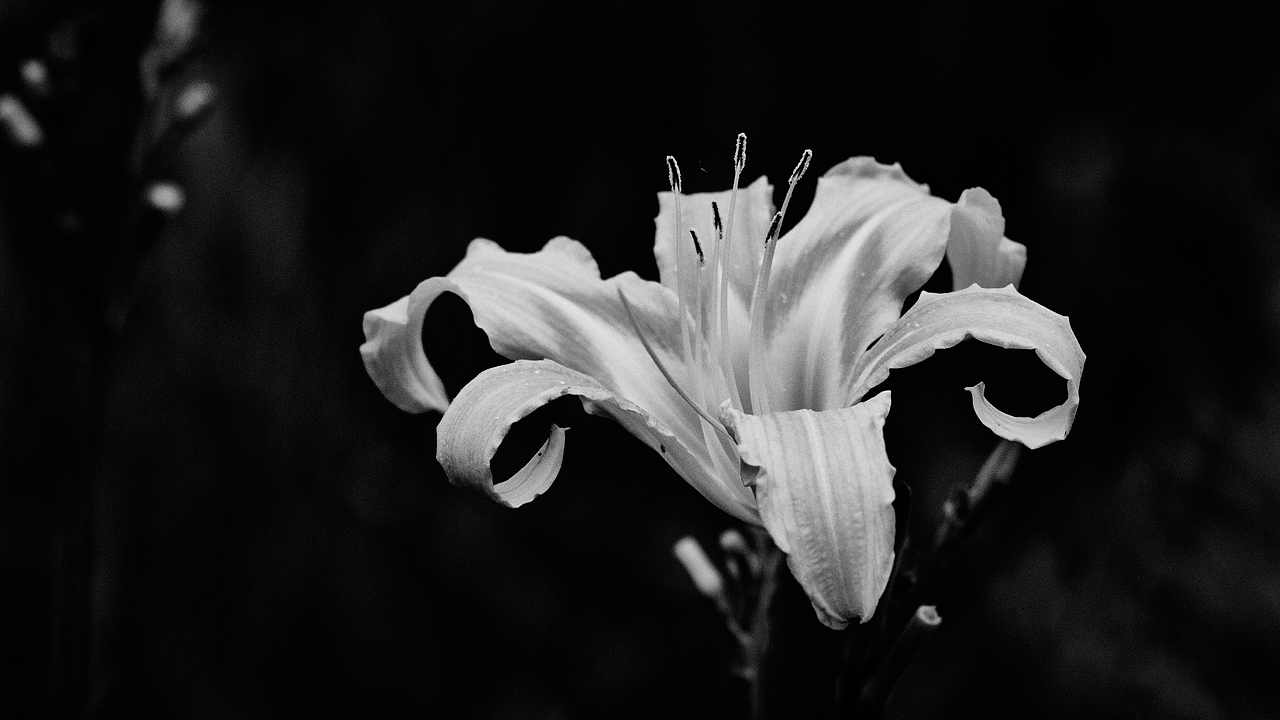 端午闲游-云栖竹径