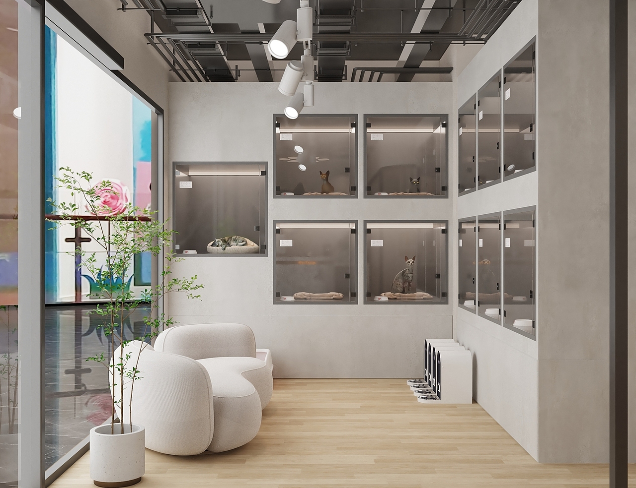 上海vint猫咖馆设计 | 六器设计|成都宠物店设计公司