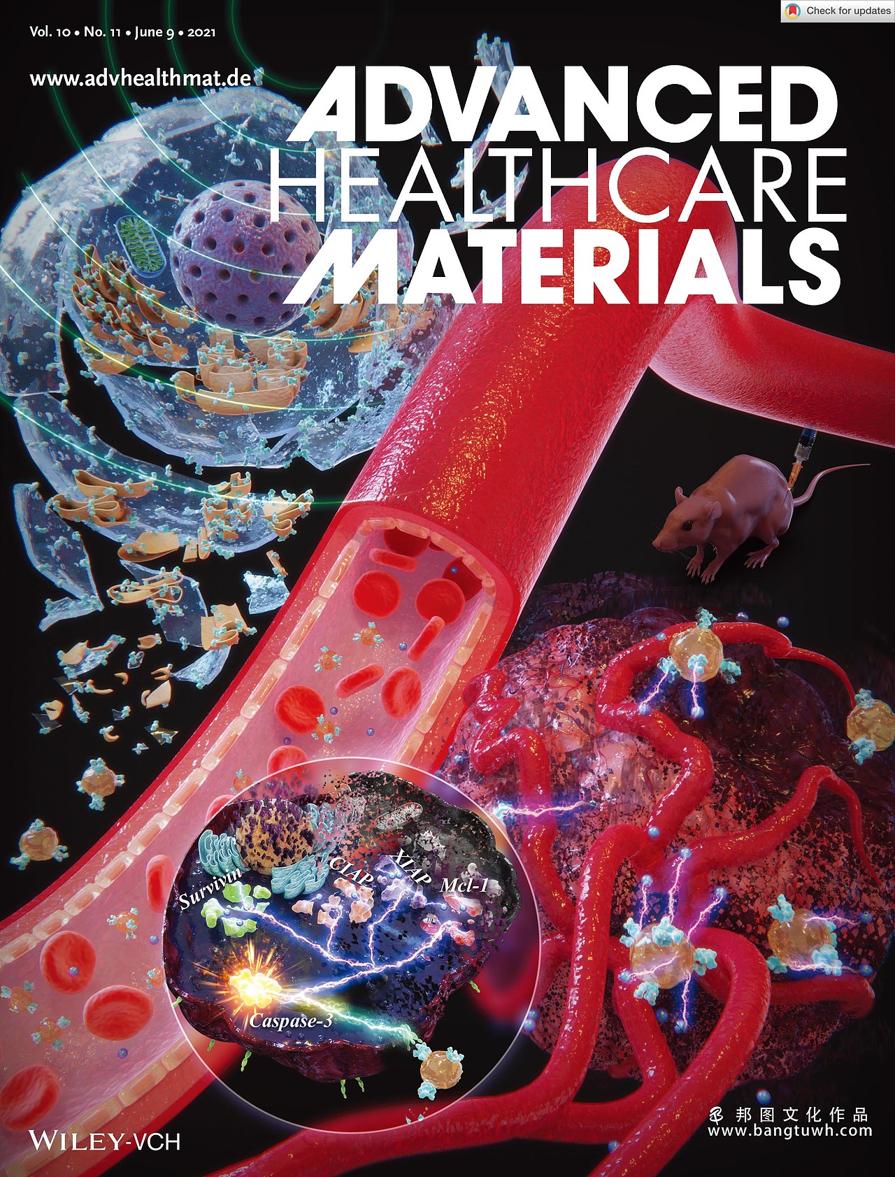 科研画图 学术期刊封面作品