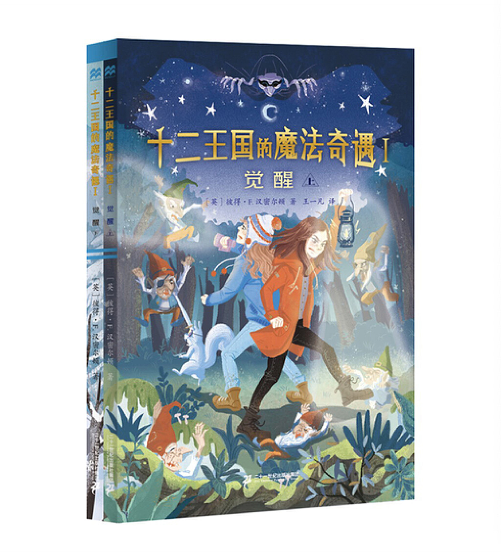 《十二国的魔法奇遇》童书封面插画