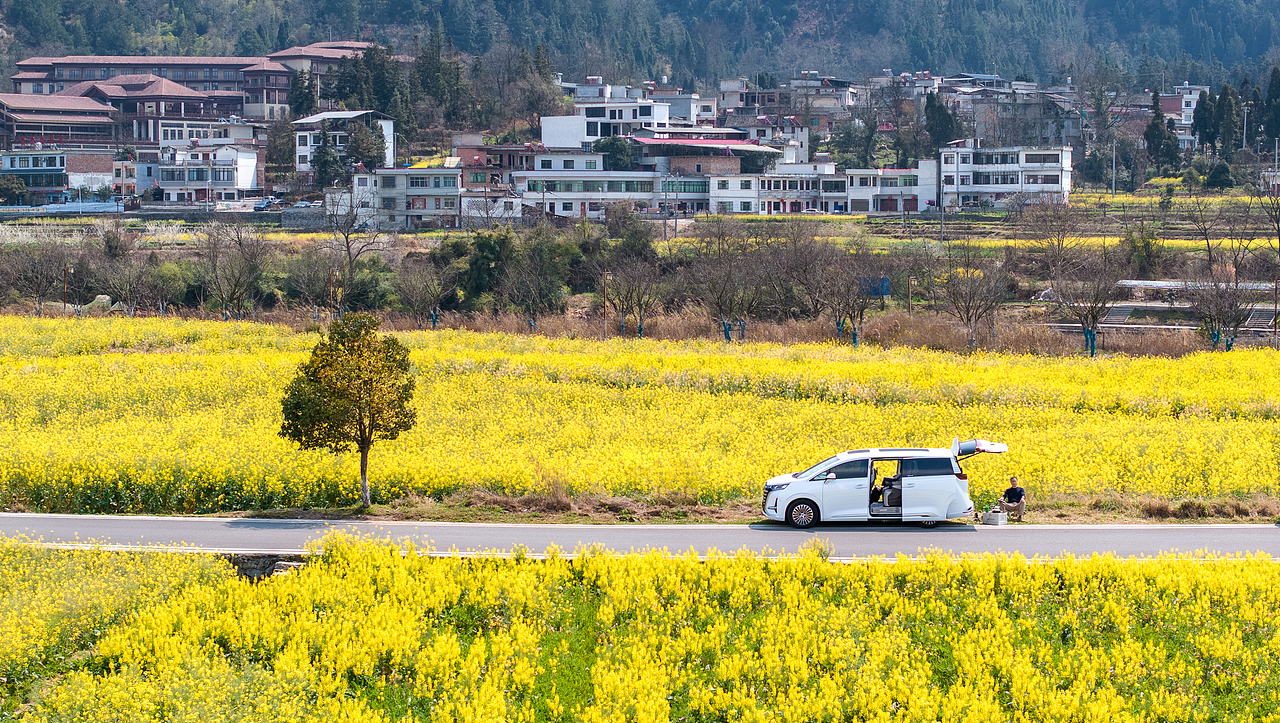 阳光恰好油菜花与腾势D9碰撞相遇(贵定金海雪山)