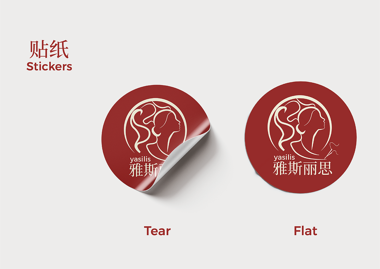 雅斯丽思VI手册