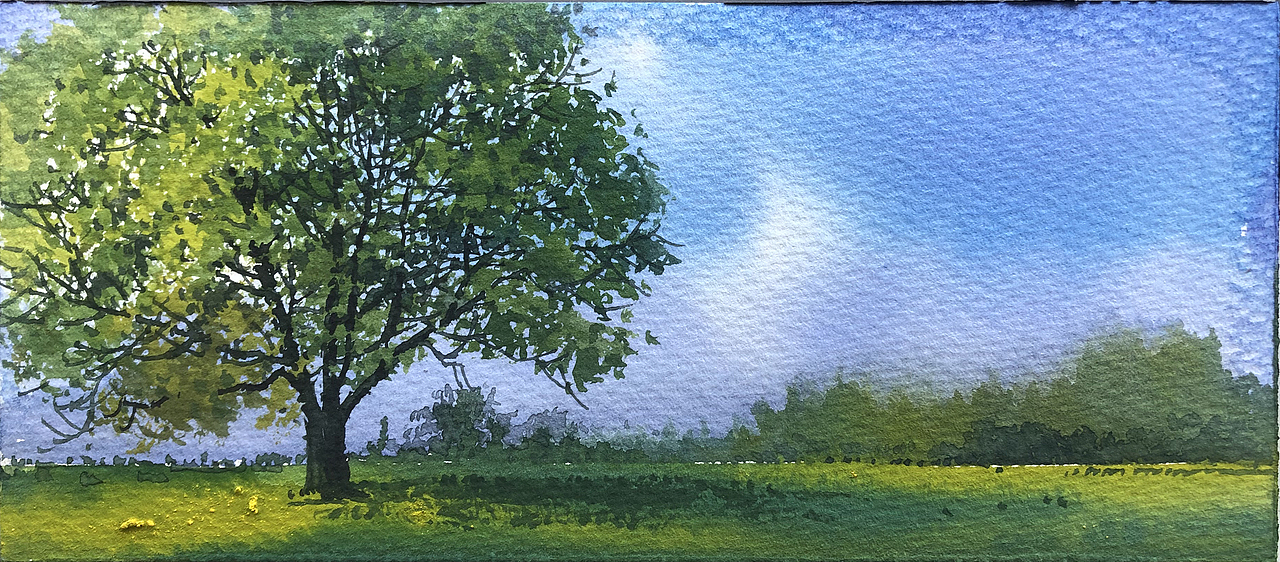 2022——水彩作品集(总结)