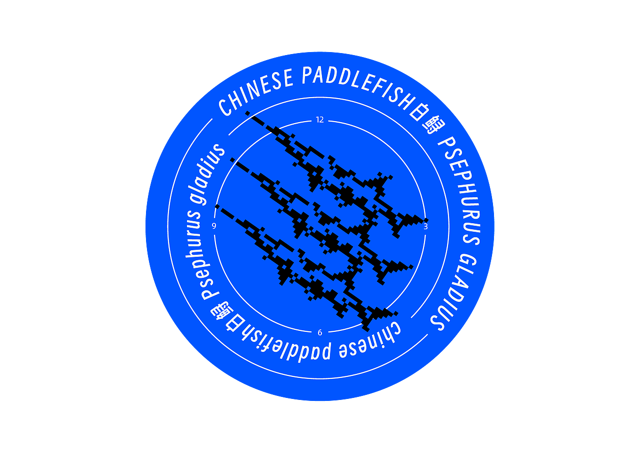 #2023 青春答卷#《白鲟》