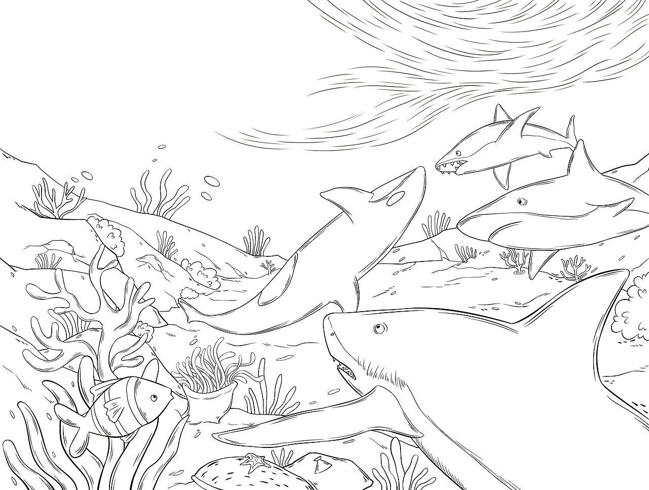 《科学图书馆—海洋动物》| 儿童插画绘本