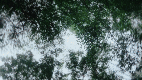 「东方纯净植物」三草两木紫兰溯源全案视觉（图ZMzQyMzcyMDg4） - 产品摄影 - 站酷设计师近物STILLLIFE原创素材 - 站酷ZCOOL