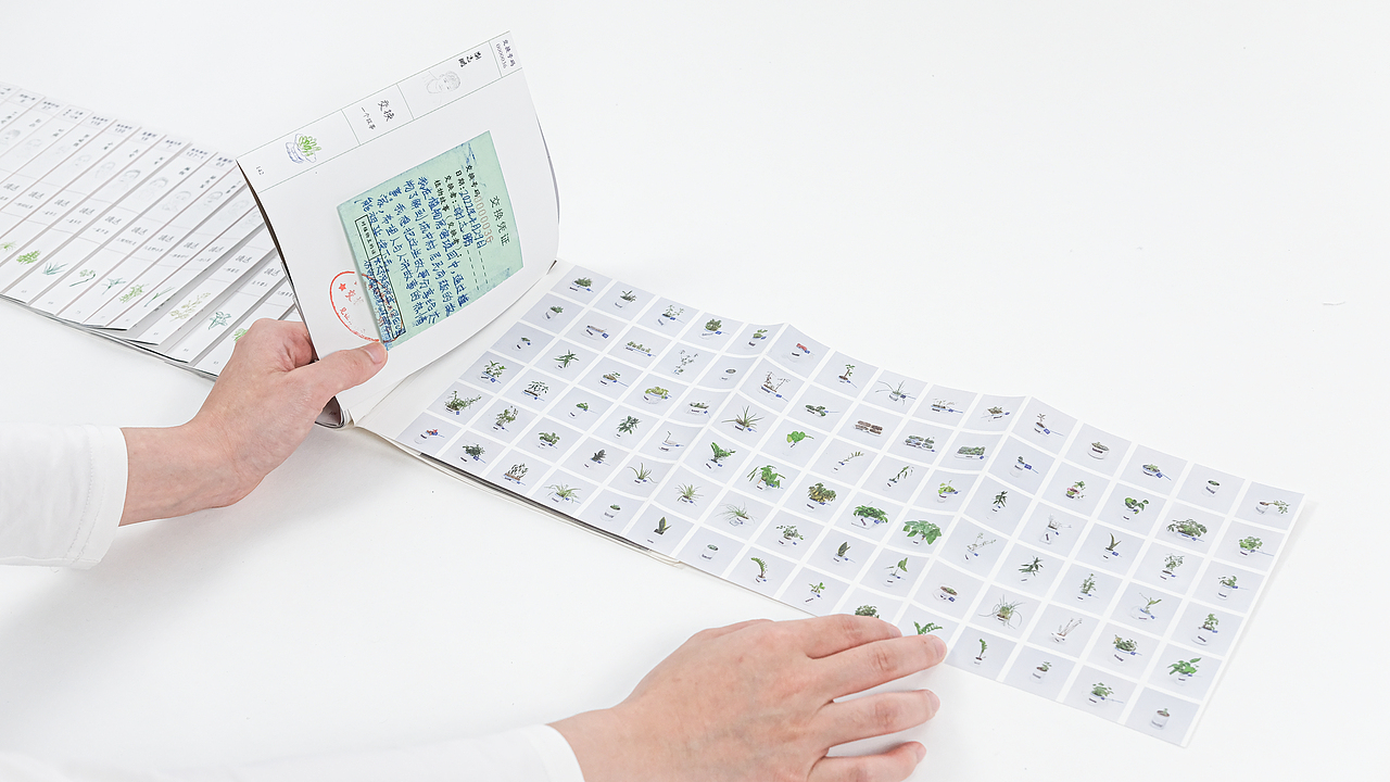 社区营造设计项目|植物房客(图ZMzE3NTYxODg4) - 书籍/画册 - 站酷设计师3883號房客原创素材 - 站酷ZCOOL