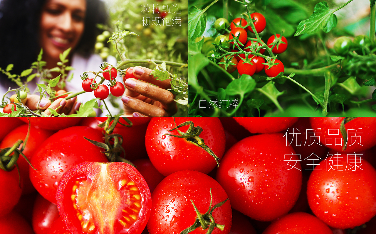 柿一家 X 洛可可 | 这是，被设计激活的番茄包装（图ZMzEzMzA2MDAw） - 生活用品 - 站酷设计师深圳洛可可设计原创素材 - 站酷ZCOOL