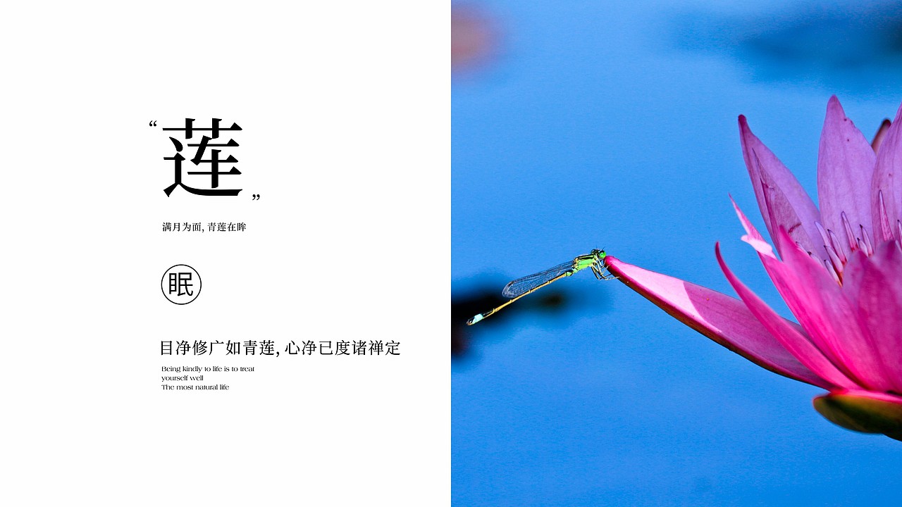 善式健康 vi设计及包装（图ZMzU2MjUzNjc2） - 品牌 - 站酷设计师小嘿次朗原创素材 - 站酷ZCOOL