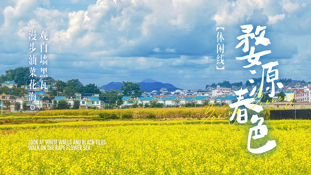 banner总结