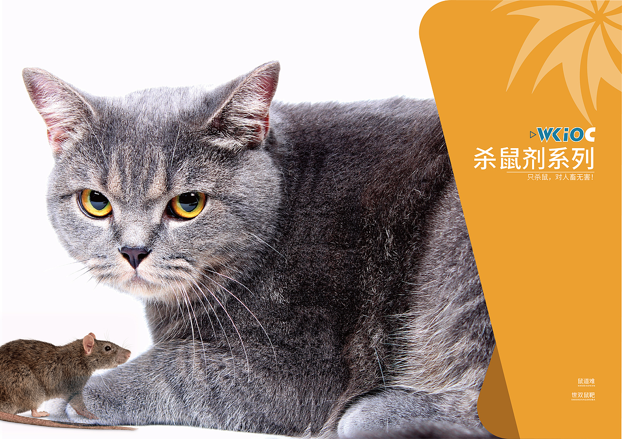 产品宣传手册2021