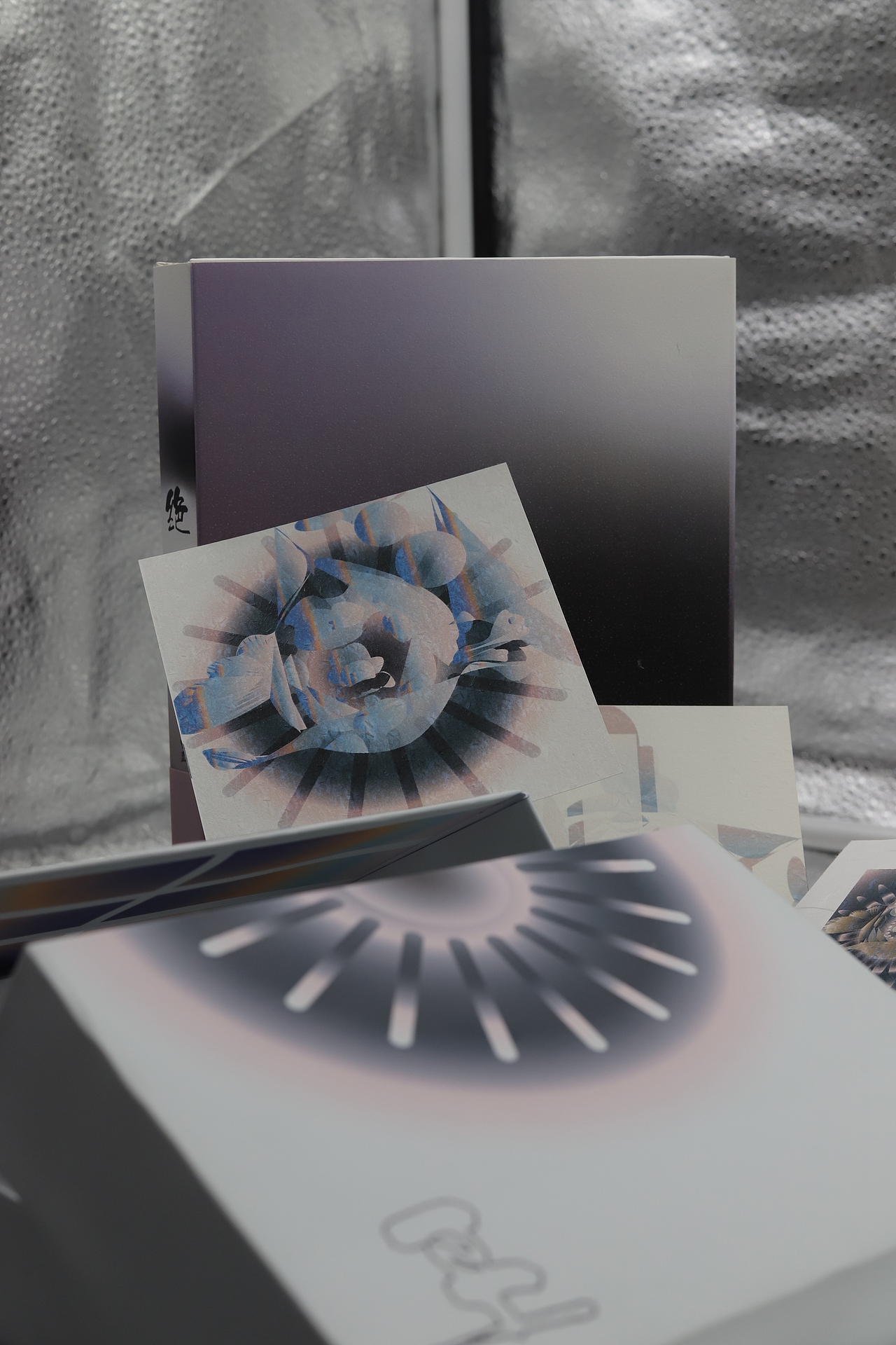 《绝叫》叶真中显-包装设计