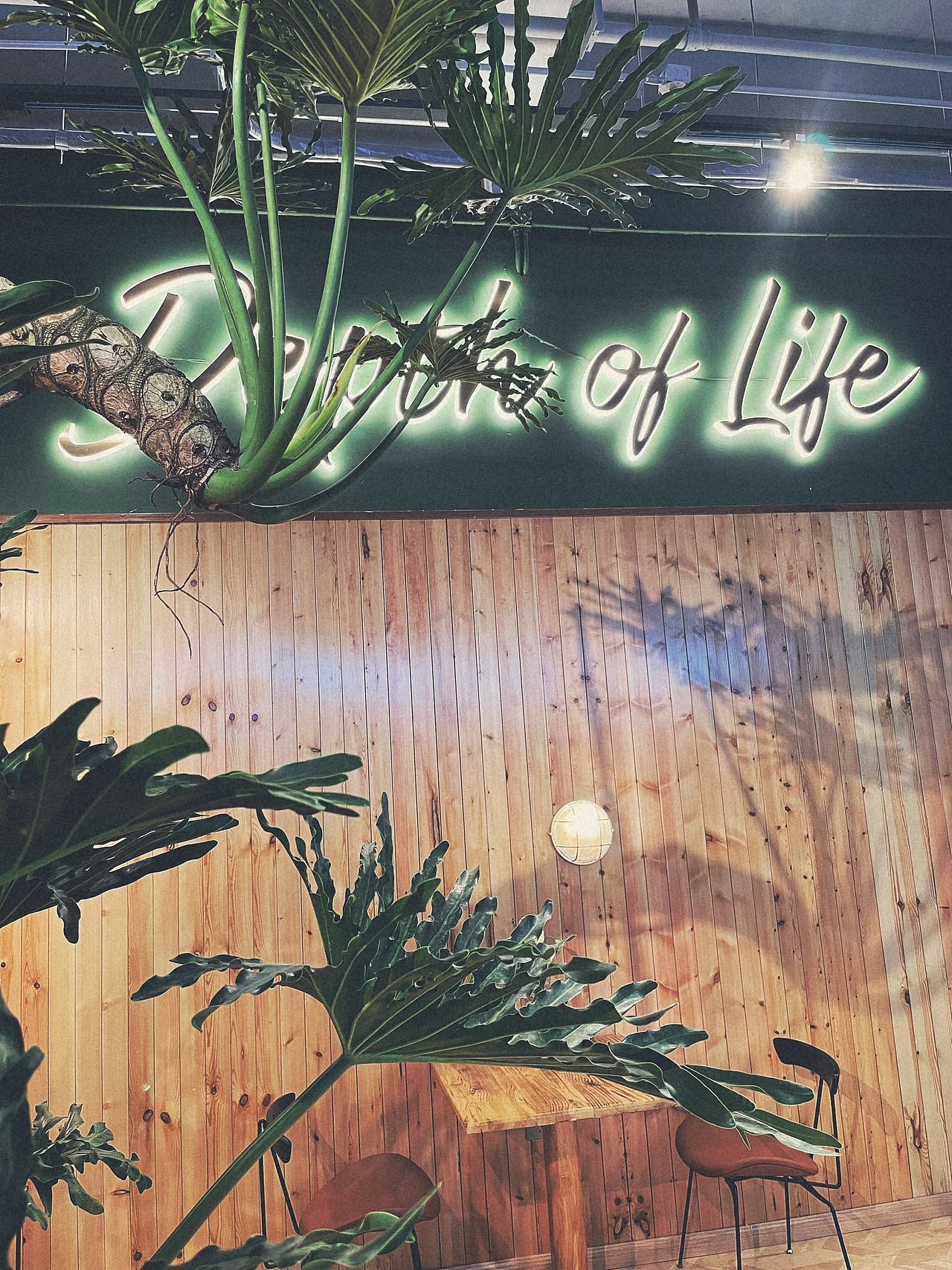 机车主题咖啡馆 - 极限豆