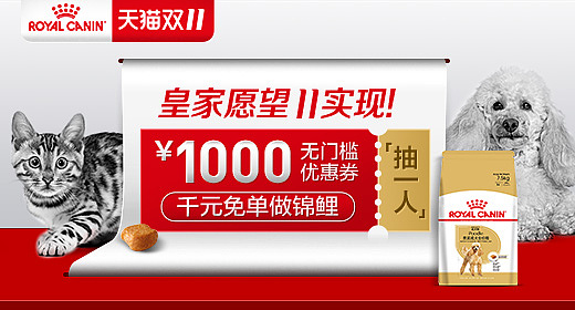 19年作品-皇家宠粮专题