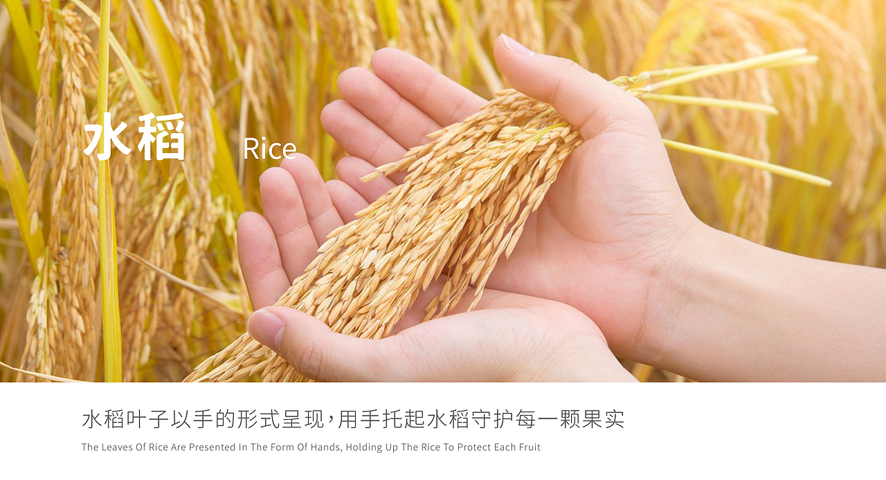 子钰-大米logo设计