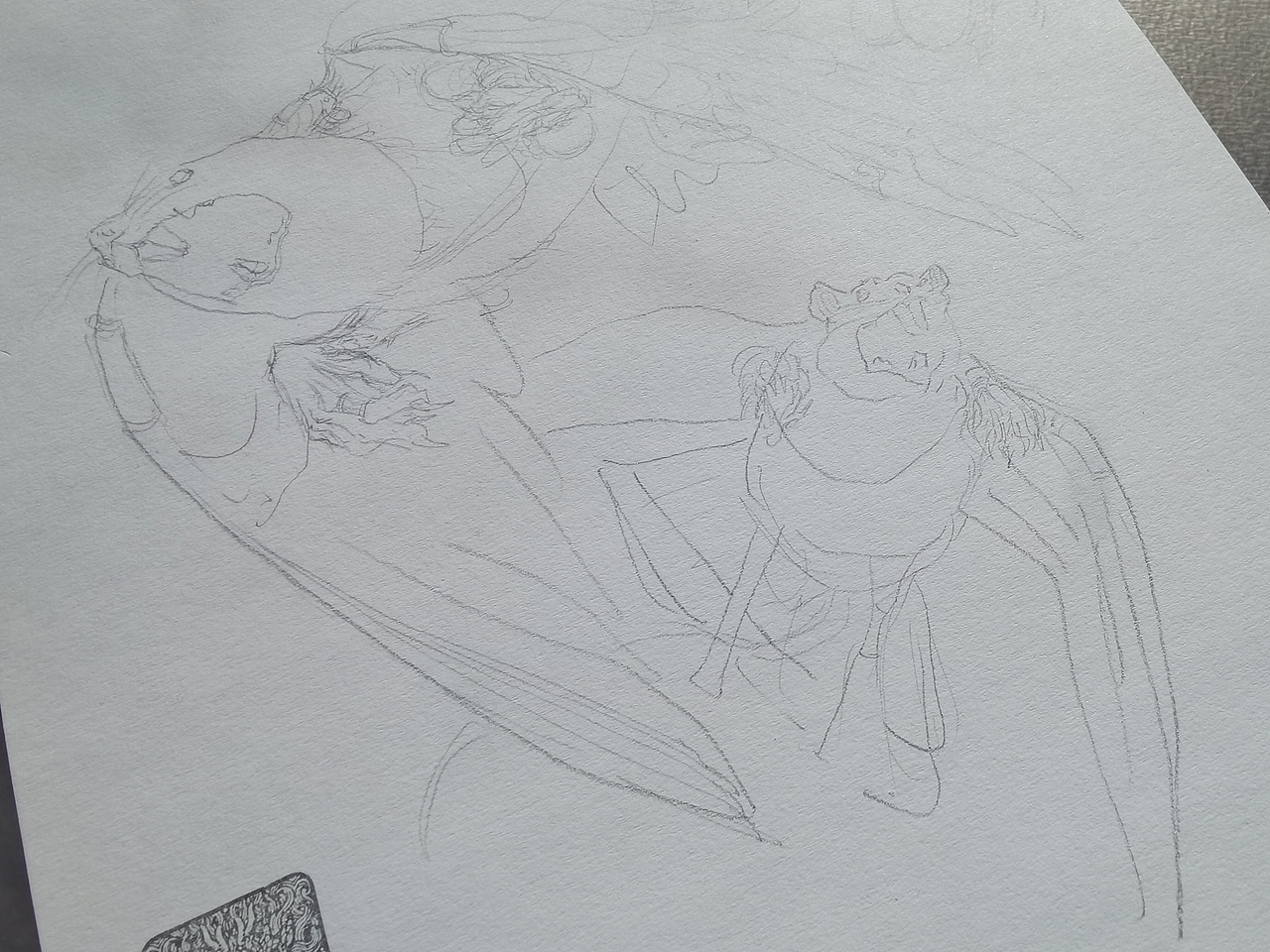 2024.03.10毣柞山海-北山经-虢山-寓鸟