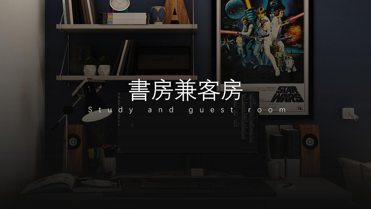 Xinghai famous city cat lady home design