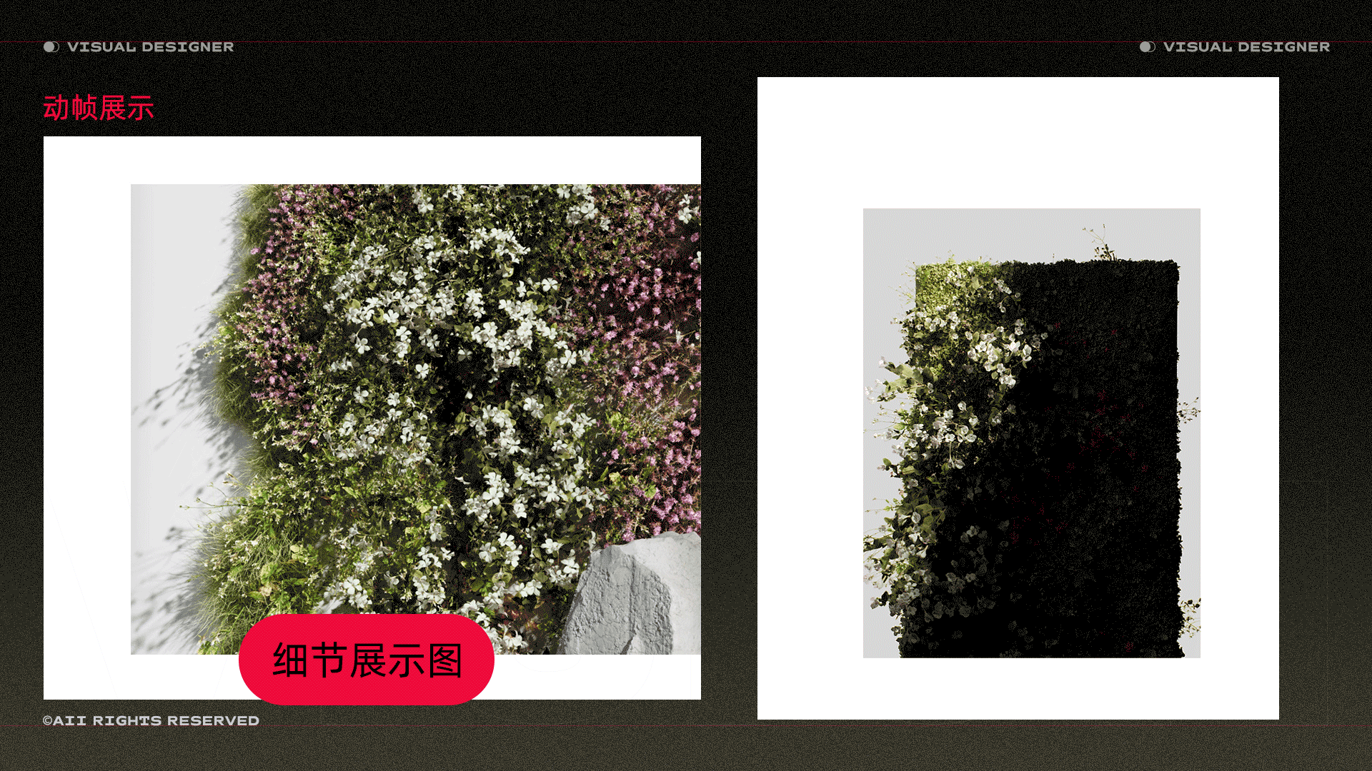 花草生长扫光效果