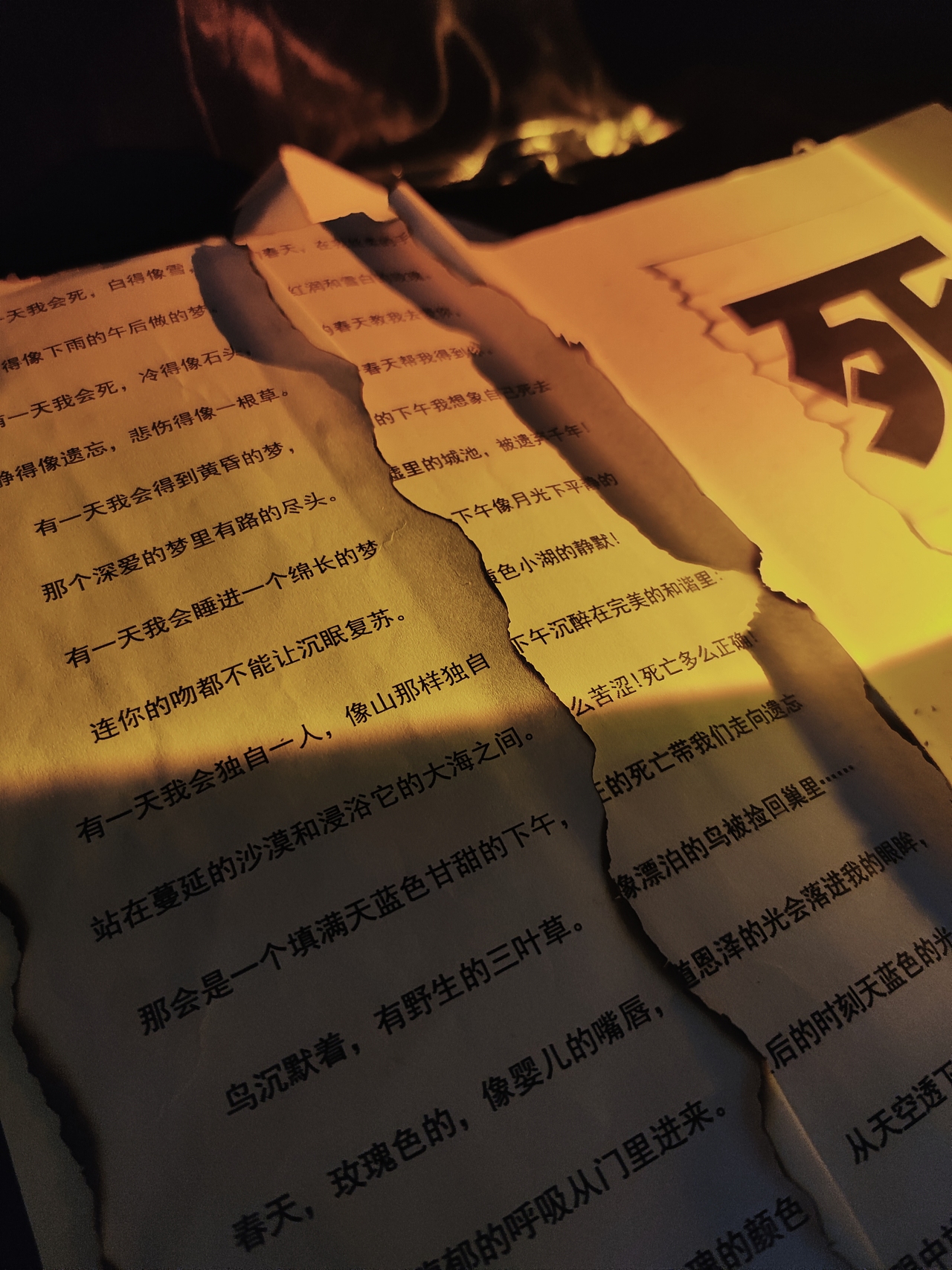 《盛开》（图ZMzA0Njk1ODk2） - 短片 - 站酷设计师yaja原创素材 - 站酷ZCOOL