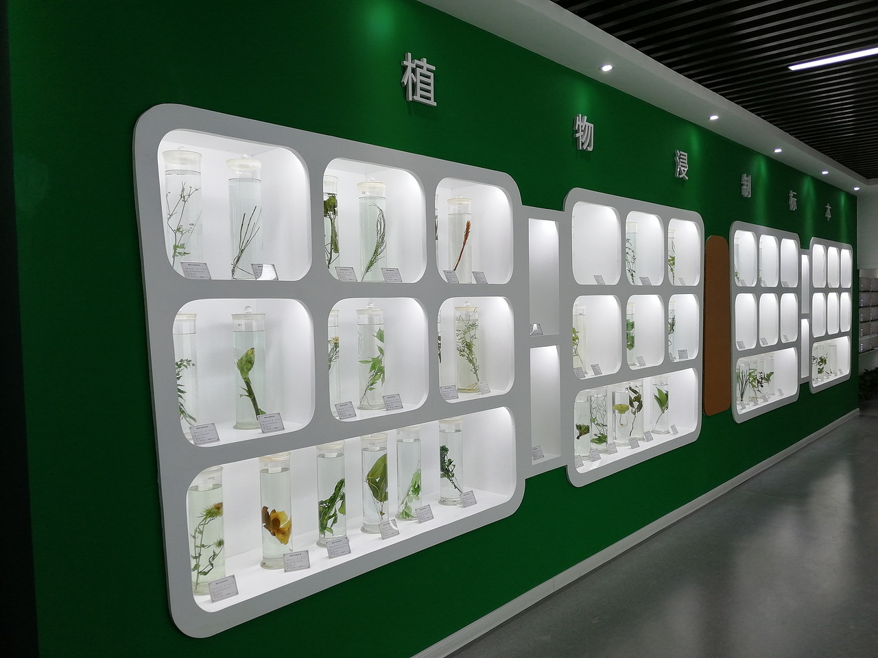 湖南农大植物标本馆效果图及现场图(已落地)