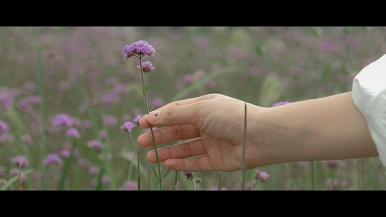 榎日回想（图ZMzUxMjQwNDg0） - 人像摄影 - 站酷设计师若尘尘原创素材 - 站酷ZCOOL