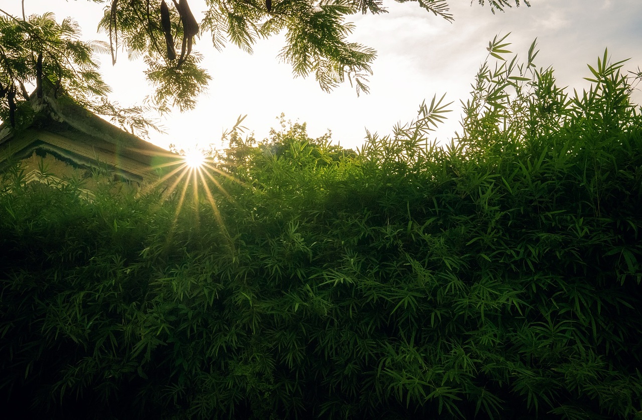 版画村（图ZMzA4NDk0NDUy） - 风光摄影 - 站酷设计师tiandizhaoxi原创素材 - 站酷ZCOOL