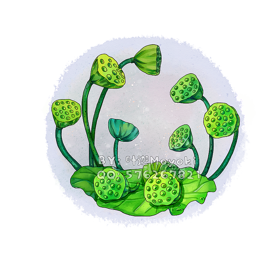 植物插画（图ZMzEyOTk1MjA4） - 商业插画 - 站酷设计师叶迦原创素材 - 站酷ZCOOL