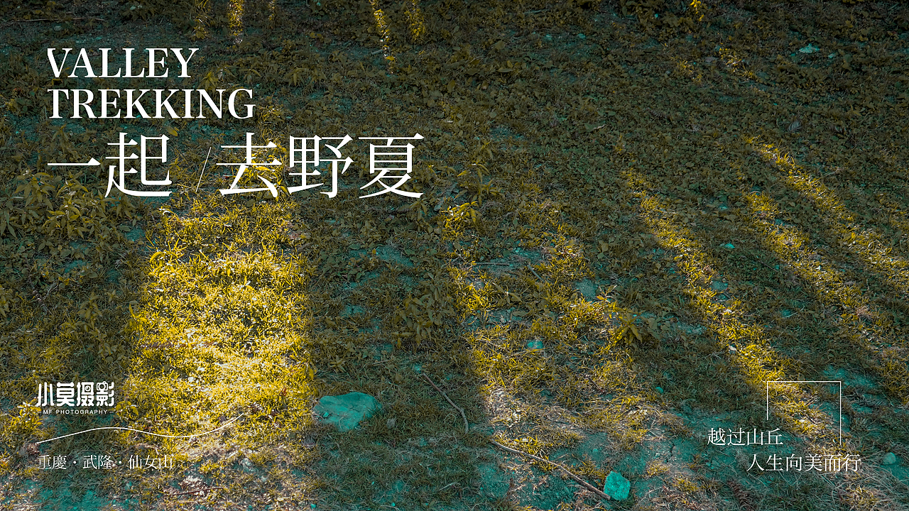 一起野一夏-武隆·仙女山