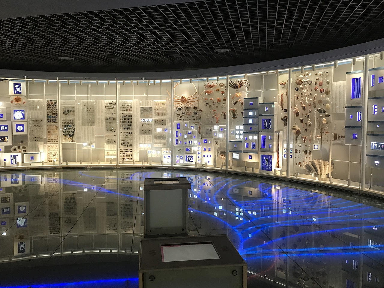 东京国立科学博物馆（图ZMzA5OTUwODU2） - 展陈设计 - 站酷设计师JIANG2015原创素材 - 站酷ZCOOL