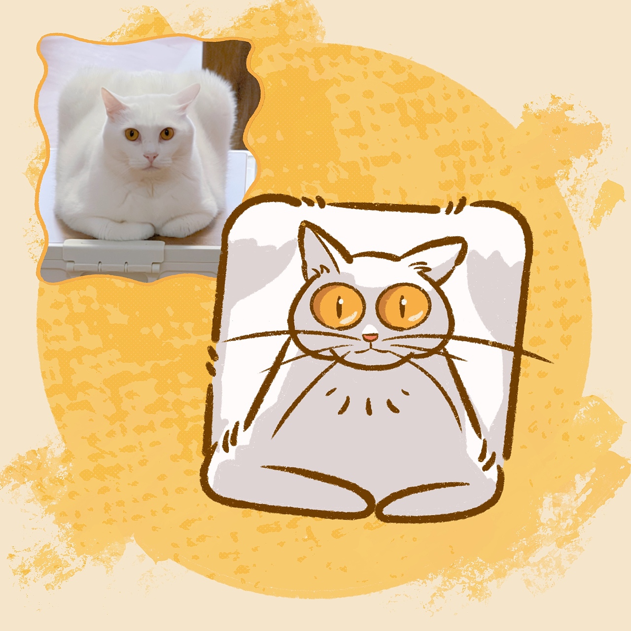 图1 是我自己的宝~叫黑米,这个蹲姿像个麻将,啊哈哈哈哈哈哈