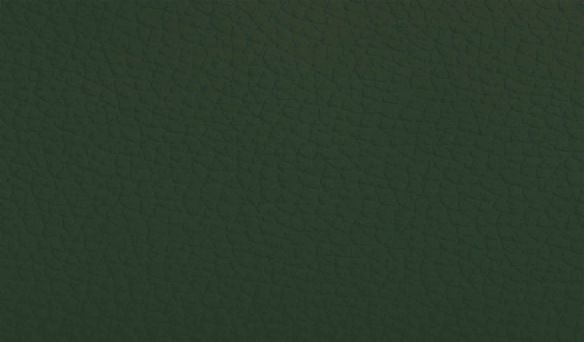 绿色系新国风轻奢美甲美睫美容logo品牌vi设计（图ZMzY4NzIwOTEy） - 品牌 - 站酷设计师AJ宾果品牌设计原创素材 - 站酷ZCOOL