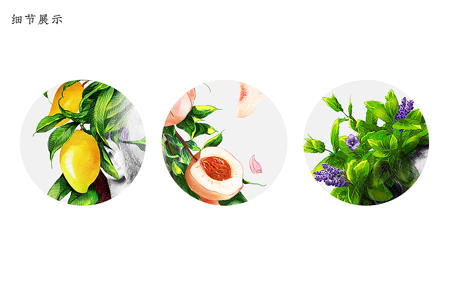 近期商业插画作品（图ZMjk5MjEyNzU2） - 商业插画 - 站酷设计师会飞的小王原创素材 - 站酷ZCOOL