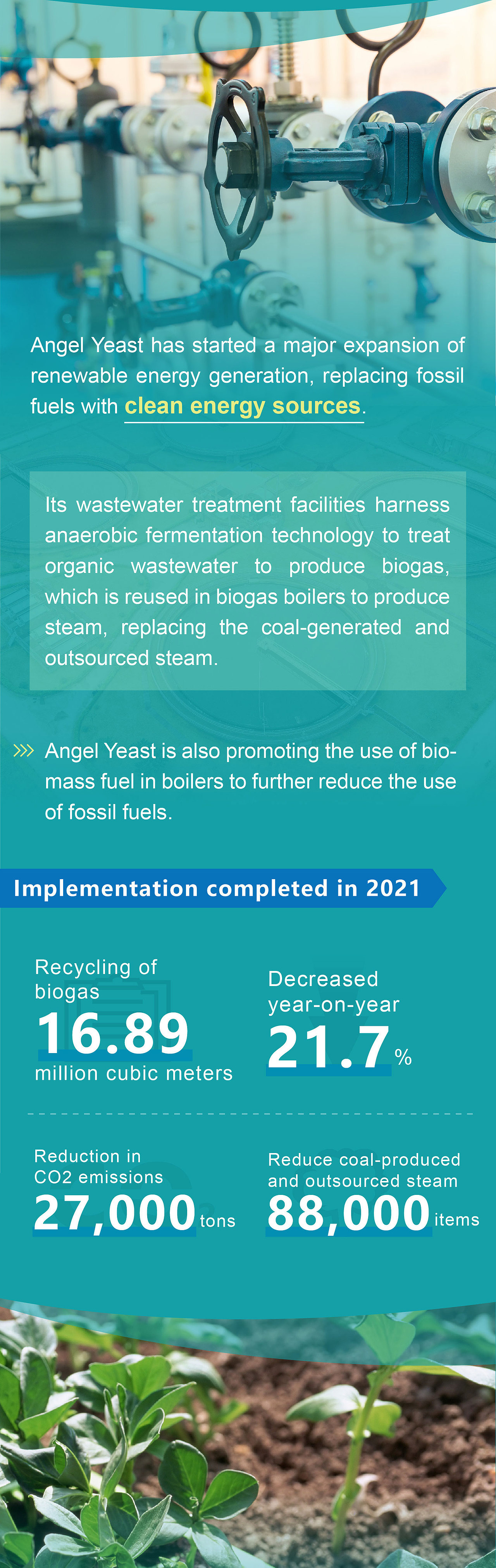 安琪酵母公众号推文合集（7）（图ZMjk5MzEzNDcy） - 宣传物料 - 站酷设计师一蝉营销原创素材 - 站酷ZCOOL
