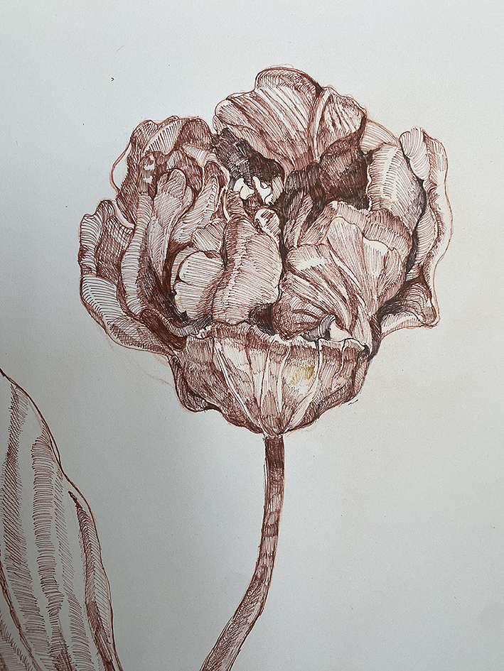 花卉插画与包装